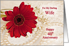 40th Wedding Anniversary for Wife, Red Daisy card