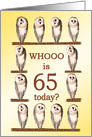 65th Birthday, Curious Owls card