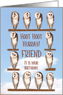 Friend, Curious Owls Funny Birthday card