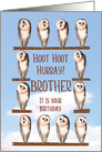 Brother, Curious Owls Funny Birthday card