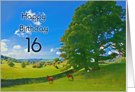 Pastoral landscape 16th Birthday card