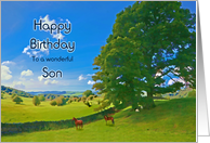 Son Birthday,...