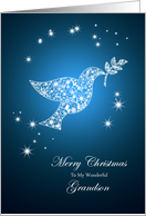 For grandson,Dove of peace Christmas card