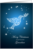 For grandma,Dove of peace Christmas card