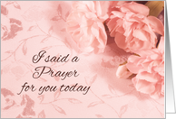 Prayer Pink Flower