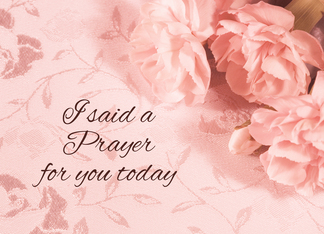 Prayer Pink Flower