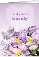 Alstroemeria Lilies Prayer card