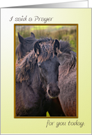 Horses Prayer card