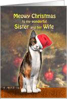 Sister and Wife, a cute cat in a Christmas hat. card