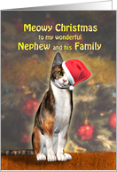 Nephew and Family, a Cute Cat in a Christmas Hat. card