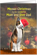 Mum and Step-Dad, a Cute Cat in a Christmas Hat. card