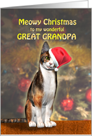 Great Grandpa, a Cute Cat in a Christmas Hat. card