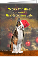 Grandson and wife, a Cute Cat in a Christmas Hat. card