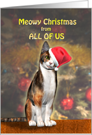 From All of Us, a Cute Cat in a Christmas hat. card