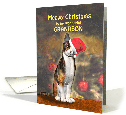 Grandson, a Cute Cat in a Christmas Hat. card (1288236)