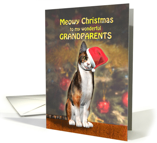 Grandparents, a Cute Cat in a Christmas Hat. card (1288238)