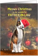 Father-in-Law, a Cute Cat in a Christmas Hat. card