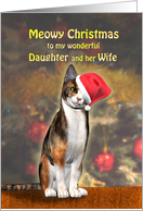 Daughter and wife, a Cute Cat in a Christmas Hat. card