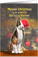 Dad and Partner, a Cute Cat in a Christmas Hat. card