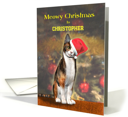Add a Name, a Cute Cat in a Christmas hat. card (1290626)