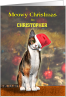 Add a Name, a Cute Cat in a Christmas hat. card