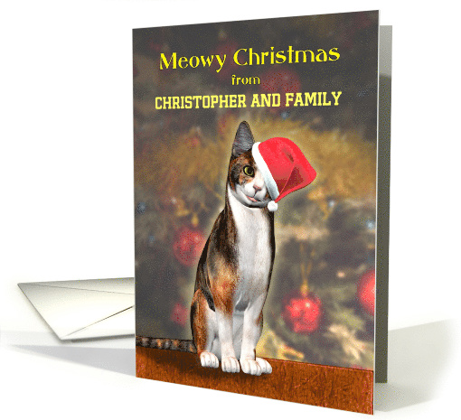 Add Your Name, a cute cat in a Christmas hat. card (1290628)