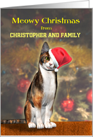 Add Your Name, a cute cat in a Christmas hat. card