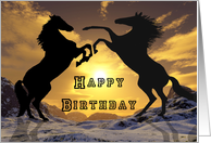Birthday, Stallions rearing card