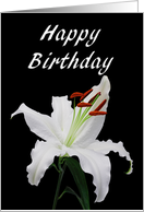 Lily Birthday card