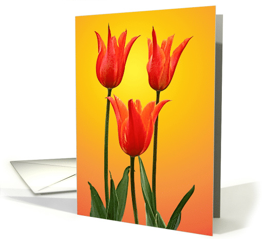 Tulips Blank Note card (217136)