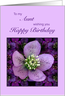 Aunt, Birthday with a Purple Flower card