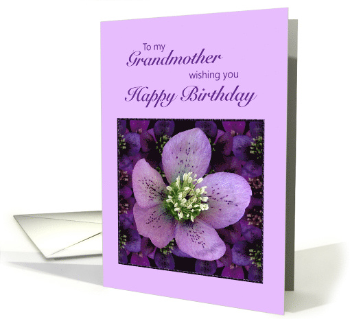 Grandmother, Birthday with a Purple Flower card (217939)
