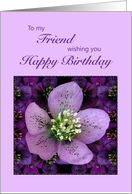 Friend, Birthday with a Purple Flower card