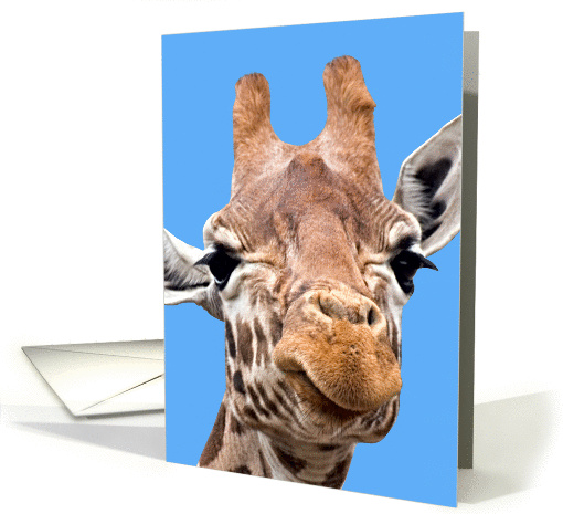 Giraffe wants a kiss card (219589)