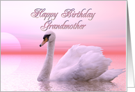 Grandmother Birthday Pink Swan card