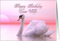 Wife Birthday Pink Swan card