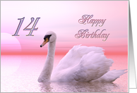 14th Birthday Pink Swan card