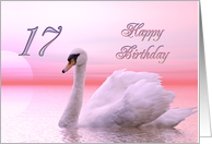 17th Birthday Pink Swan card