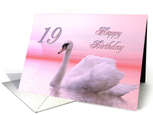 19th Birthday Pink Swan card (231849)