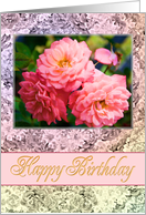 Birthday Old Fashioned Roses card