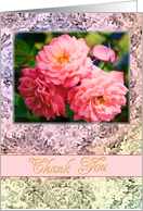 Thank You Old Fashioned Roses card