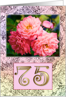 75th Birthday Old Fashioned Roses card