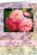 Just a Note Old Fashioned Roses card