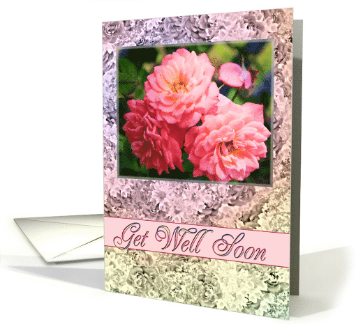 Get Well Soon Old Fashioned Roses card (237006)