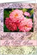 Get Well Soon Old Fashioned Roses card