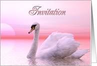 Invitation Swan...