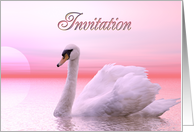 Invitation Swan Swimming card