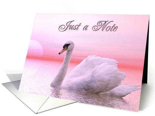 An elegant pink swan card (237032)