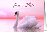 An elegant pink swan