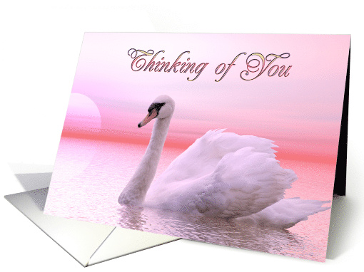 Thinking of You Swan Swimming card (237034)